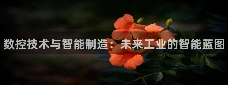 天辰娱乐957807