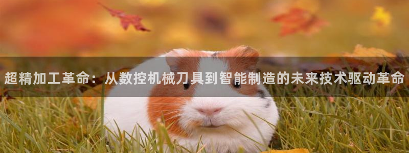 天辰娱乐登陆平台