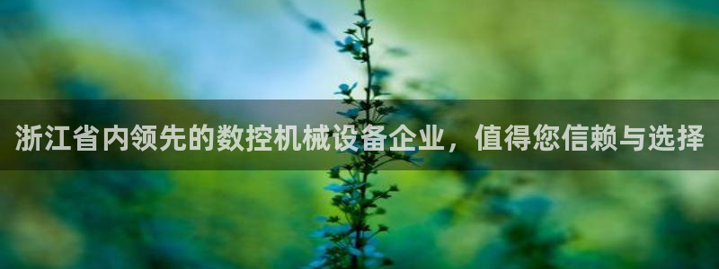 天辰团队贝高娱乐