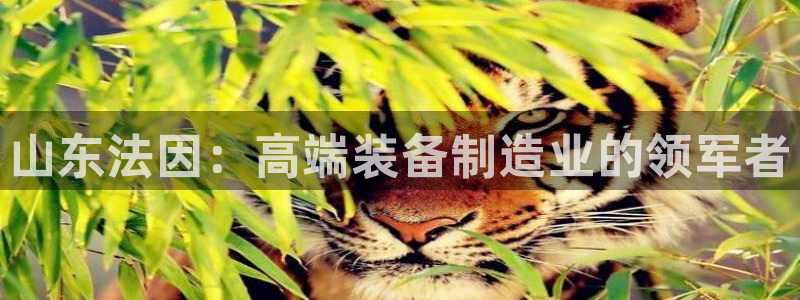 天辰娱乐反水