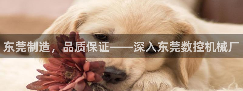 天辰娱乐481928