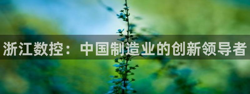 天辰娱乐天辰宝