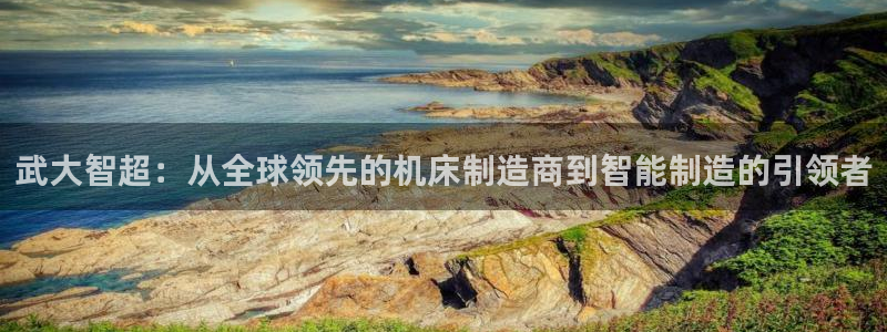 天辰娱乐 . 鱼刺：武大智超：从全球领先的机床制造商到智能制造的引领者