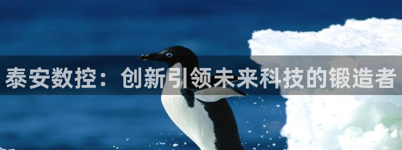 天辰娱乐电话