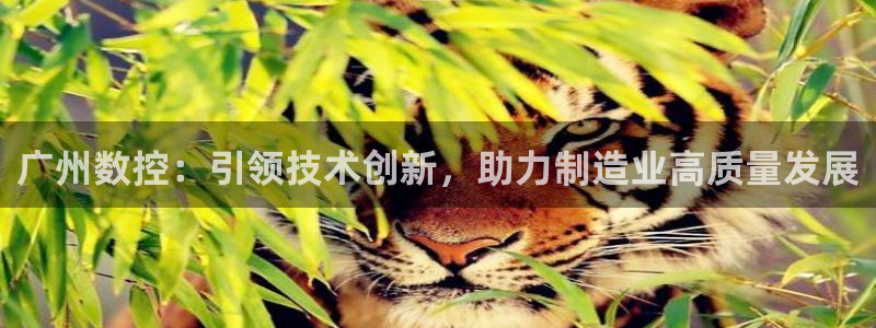 天辰说娱乐