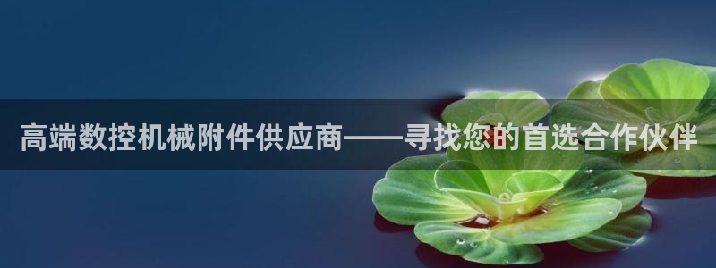 天辰娱乐小妹