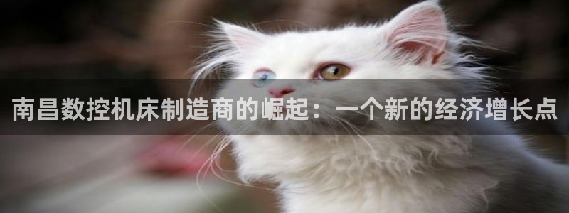 天辰娱乐国际