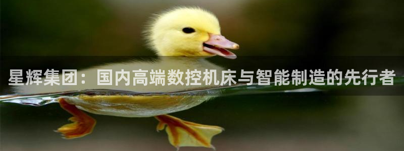 天辰娱乐公司