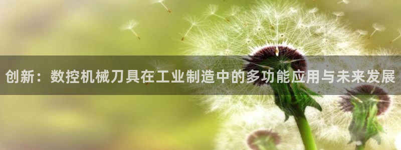 辰天娱乐
