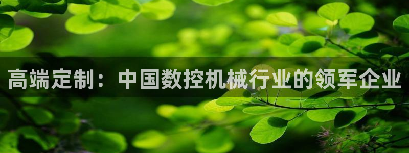 天辰娱乐官网平台下载：高端定制：中国数控机械行业的领军企业