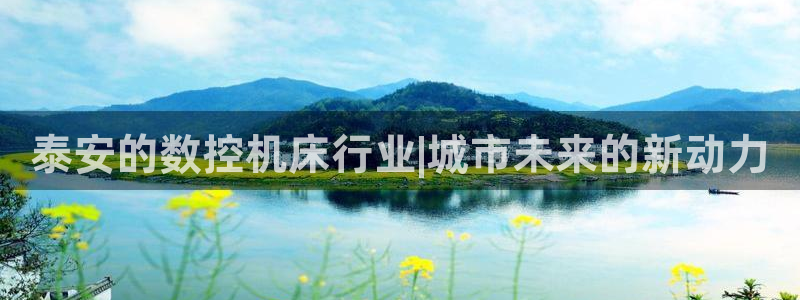 天辰娱乐入口