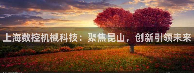 天辰娱乐下载：上海数控机械科技：聚焦昆山，创新引领未来