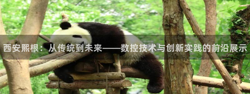 天辰娱乐内部