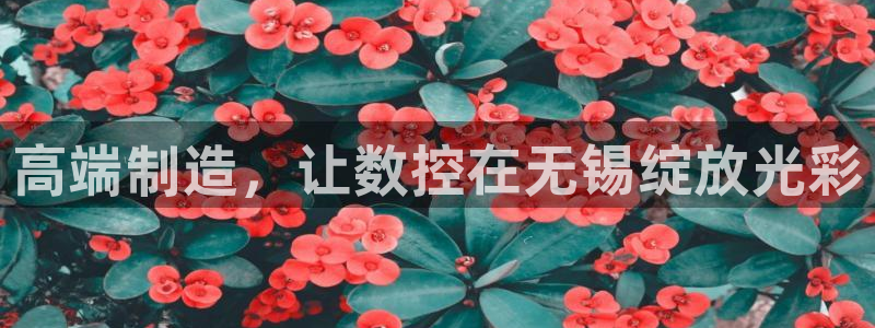 天辰娱乐解封