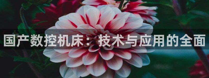 天辰娱乐棋牌