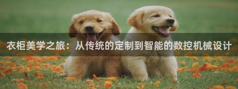 天辰娱乐1980
