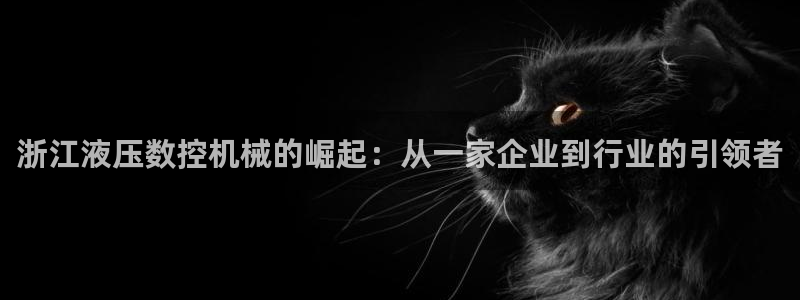 天辰娱乐会员