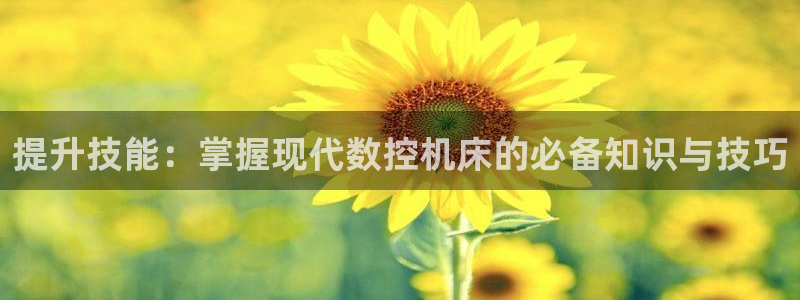 天辰娱乐海洋
