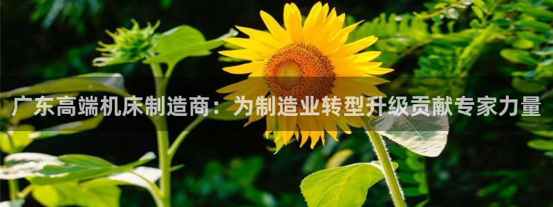 常州天辰娱乐