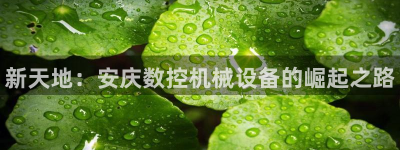 天辰娱乐文案
