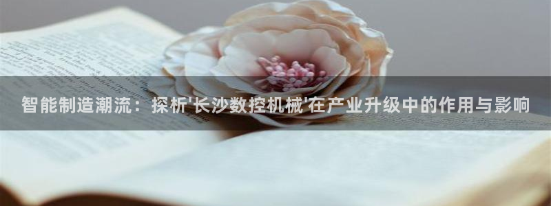 天辰彩票娱乐
