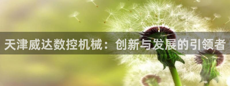 天辰天辰娱乐