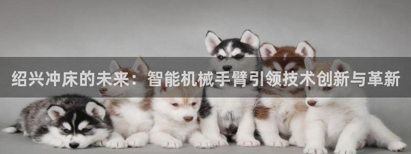 天辰娱乐appxi