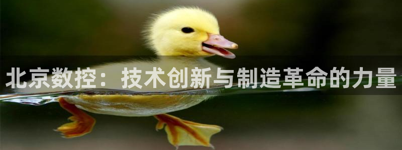 天辰娱乐集团