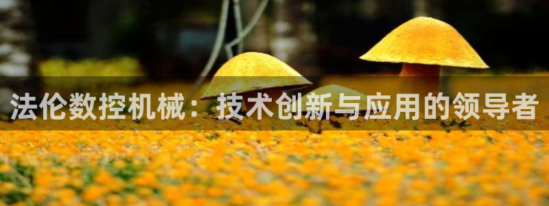 天辰娱乐信誉