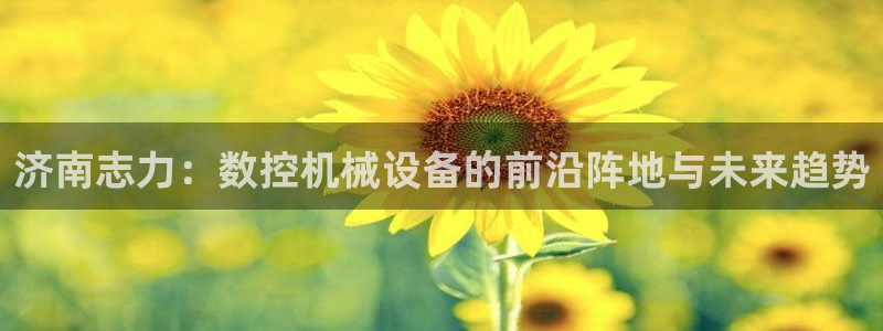 天辰娱乐53551
