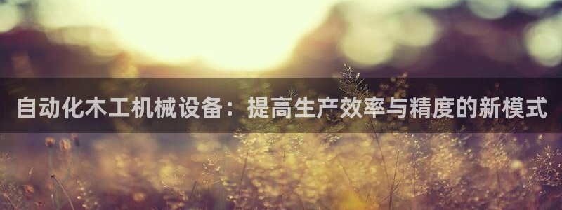 辰天娱乐用品