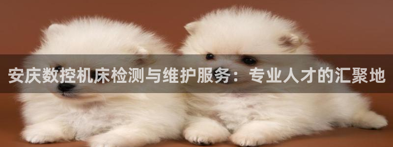 天辰娱乐线路