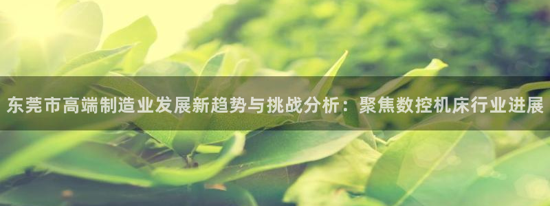 天辰娱乐登陆