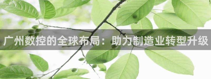天辰娱乐新