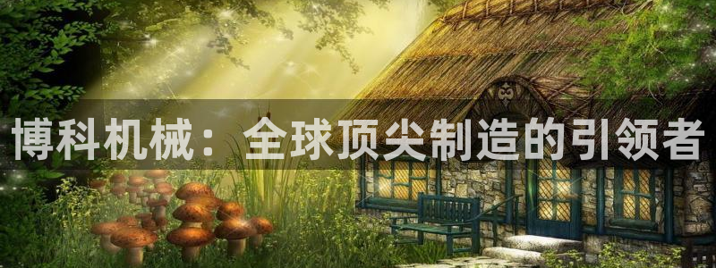 天辰平台娱乐：博科机械：全球顶尖制造的引领者