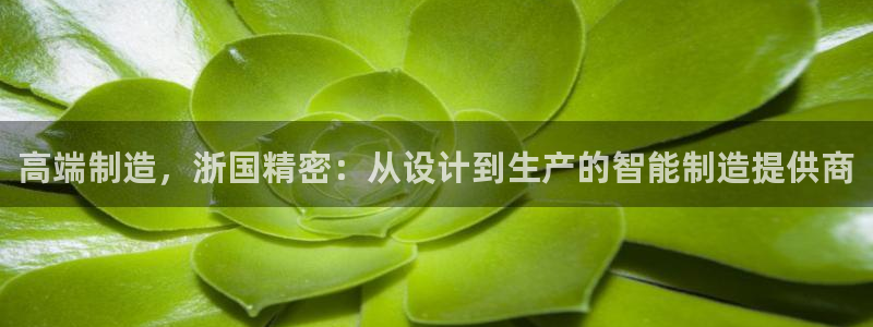 天辰娱乐主管：高端制造，浙国精密：从设计到生产的智能制造提供商