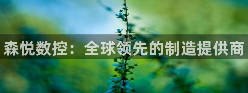 天辰娱乐官方网