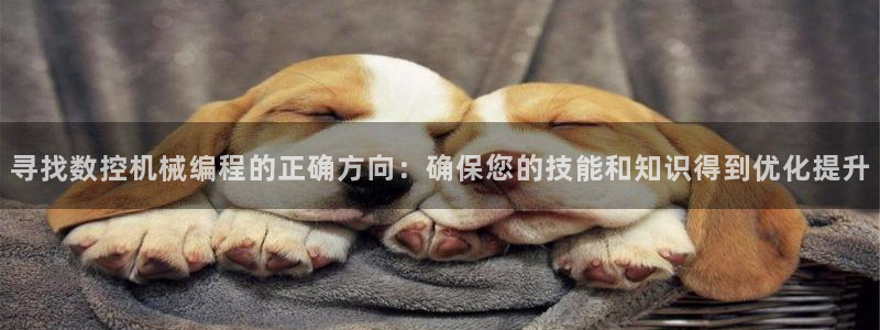 天辰娱乐_675138
