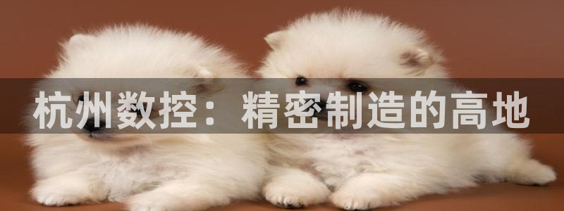 天辰娱乐557696