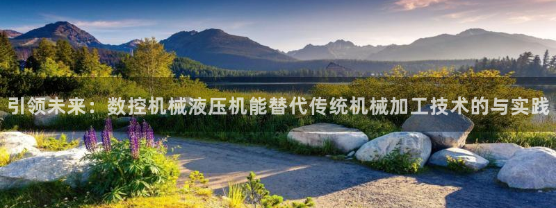 天辰娱乐