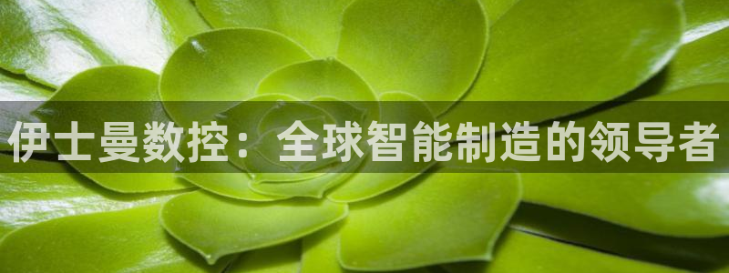 天辰娱乐黑人