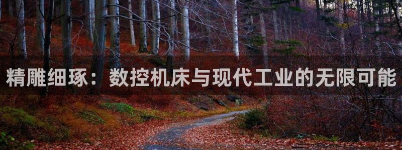 天辰娱乐平台注册