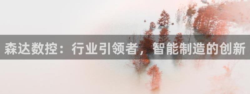 天辰天富娱乐：森达数控：行业引领者，智能制造的创新