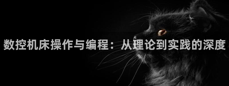 天辰娱乐39974神