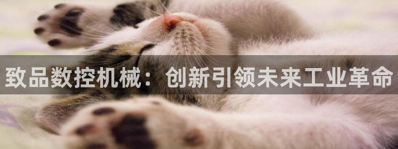 天辰娱乐娱乐平台