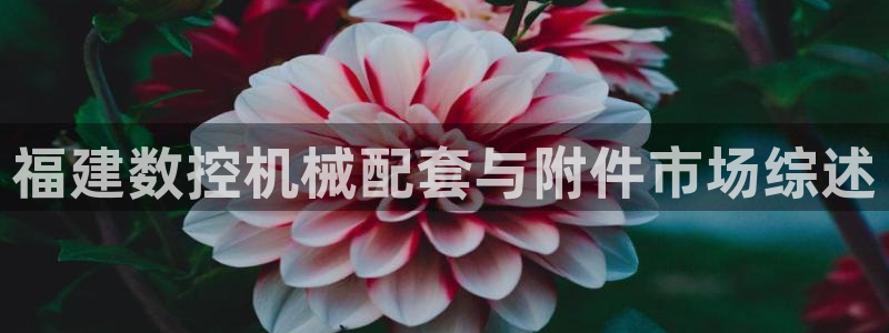 天辰娱乐平台app下载