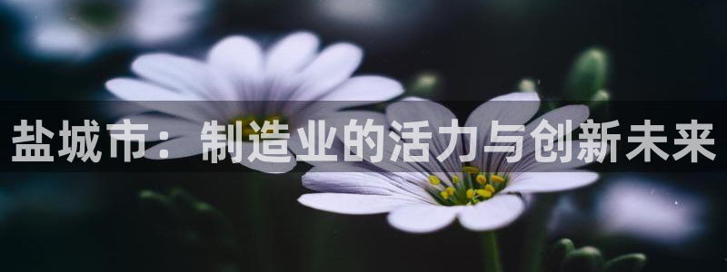 天辰娱乐39974神