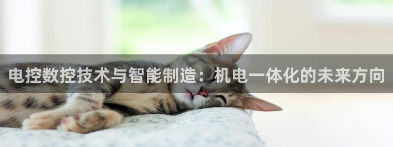 天富娱乐与天辰娱乐