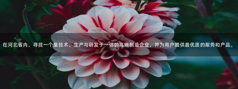 天辰 娱乐 注册