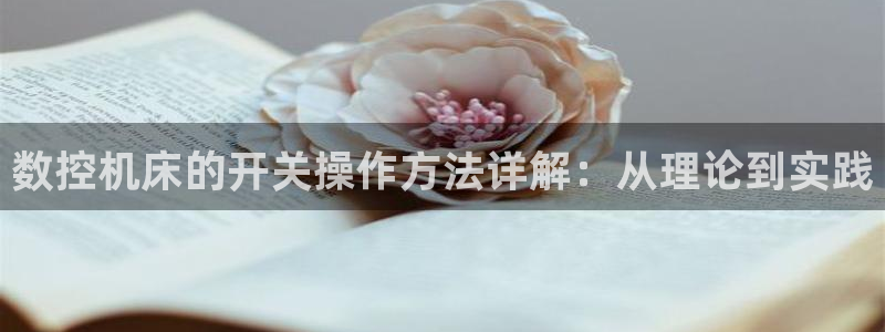 天辰娱乐网址娱乐游戏